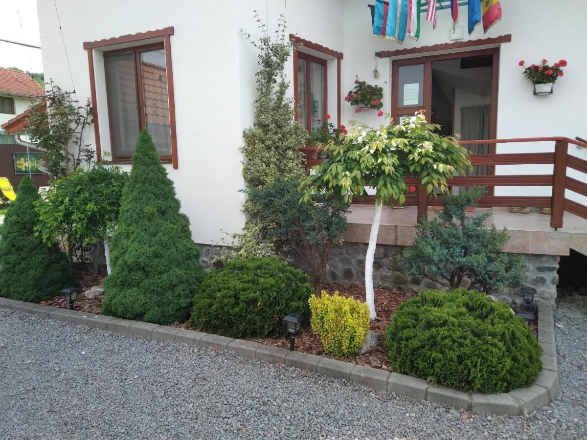 Appartamento Raza Soarelui Sovata Esterno foto